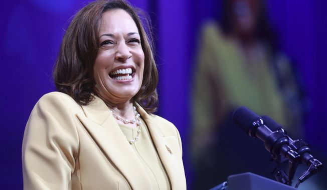 Vice President Kamala Harris gets a warm welcome as she takes the stage at the 20th Quadrennial Convention of the Women&#x27;s Missionary Society of the African Methodist Episcopal (AME) Church, Tuesday, Aug. 1, 2023, in Orlando, Fla. (Joe Burbank/Orlando Sentinel via AP)